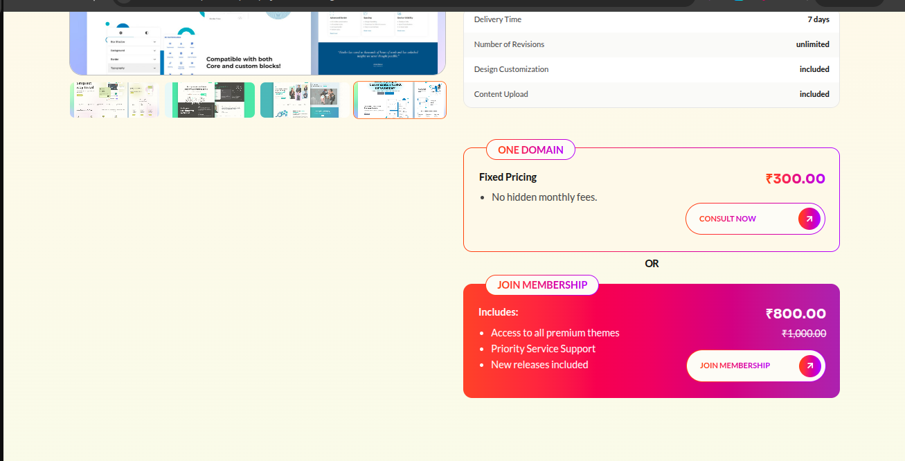 Shopify design and development — project 3